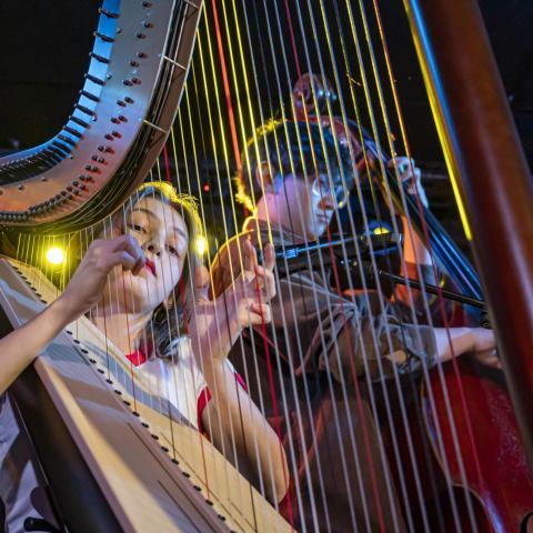 Students perform at Sinestesia Winter Festival 2024 