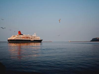 Giant cruise ship near a port of call