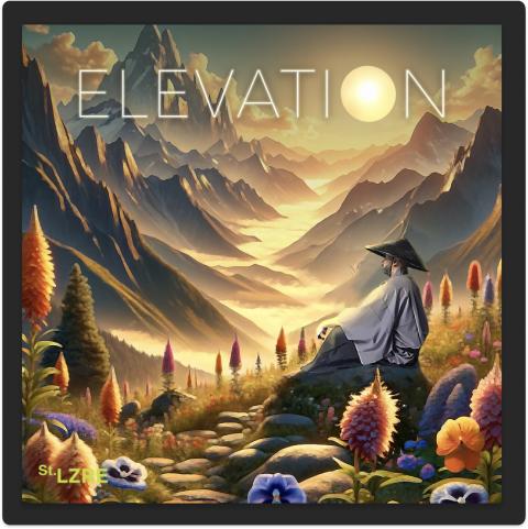 Lil’ John Roberts' Elevation