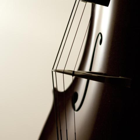 Backlit string instrument