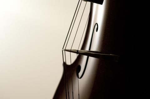 Backlit string instrument