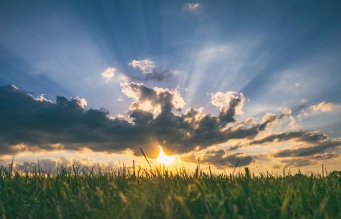 The sun is rising over a green field. The sky has some clouds, with sun rays showing through the clouds.