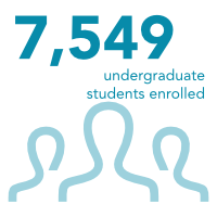 7,499 undergraduate students enrolled