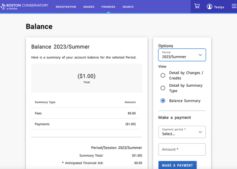 BCB Self-Service Balance Summary
