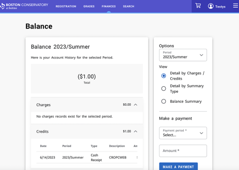 balance summary by charge credit