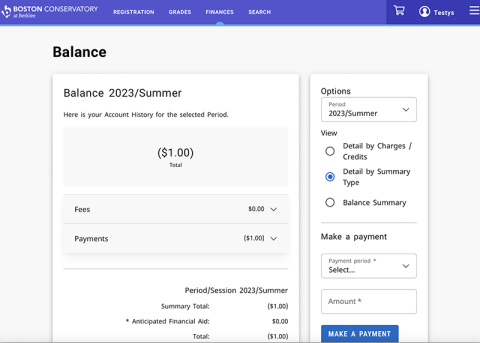 balance summary by type