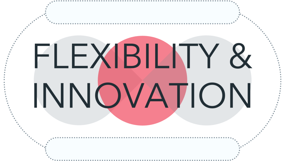 graphic that says flexibility and innovation with a red highlighted circle in the middle and two gray overlapping circles on either side