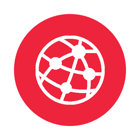 Icon depicting the globe