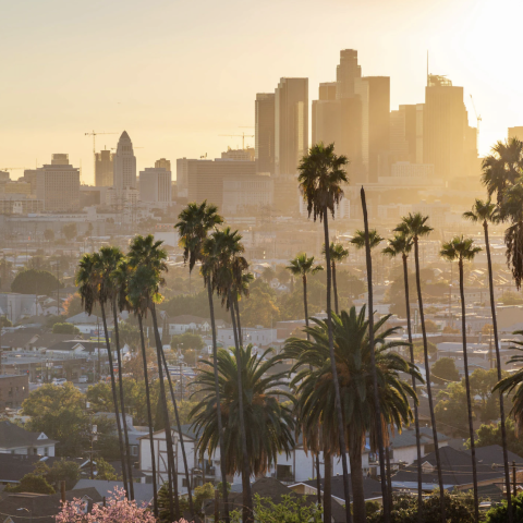 LA city skyline