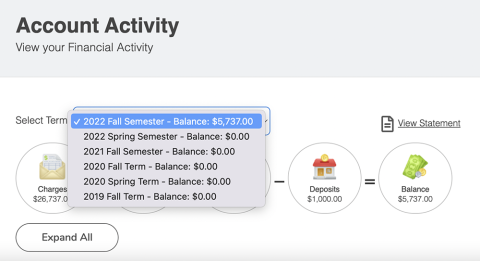 drop down for other term selection